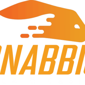 Snabbis Casino Bonus